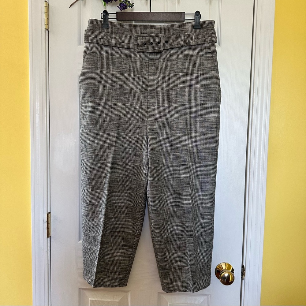 Zara Gray Ankle Cropped Pants